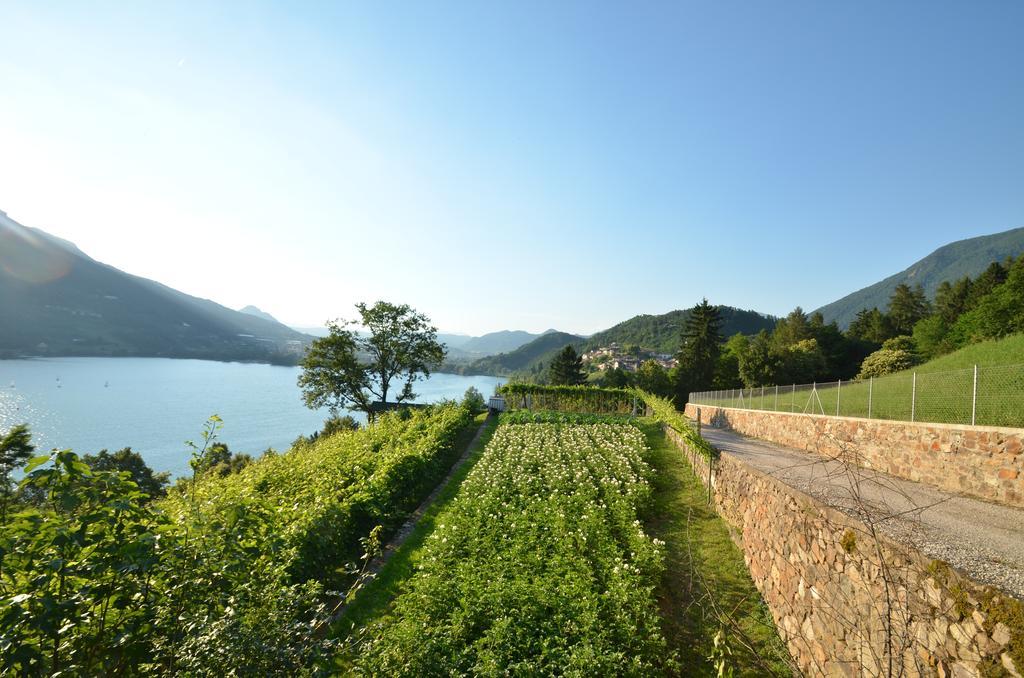 Trentino Appartamenti Oss Tenna Exterior foto
